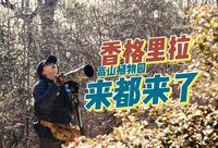 【跟风观鸟】香格里拉高山植物园，来都来了，进来看看~