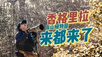 【跟风观鸟】香格里拉高山植物园，来都来了，进来看看~