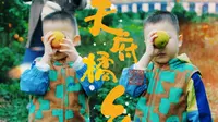 【vlog】天府橘乡，满园橘香