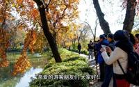 桂林漓江景区导游词讲解