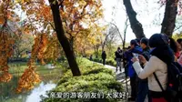 桂林漓江景区导游词讲解