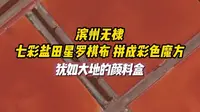 整齐排列的盐田色彩斑斓、绚丽多彩，犹如大地的颜料盒。在滨州无棣县，每到五六月份的春盐收获季，盐田中车水马龙，盐工与七彩盐田构成一幅幅美丽的水墨画。