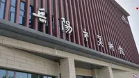 岳阳美术馆：色彩世界，艺术人生！