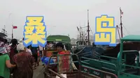烟台之旅-桑岛篇（1）