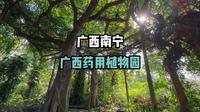 ［广西南宁］广西药用植物园