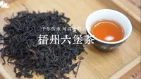 梧州六堡茶，可以喝的古董。一枚叶子的千年风骨，暗香浮动的时光典藏