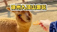 淡季九顶山动物园周末一日游，动物园的快乐时光#徐州九顶山野生动物园#周末去哪儿#徐州贾汪周边游