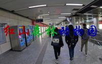 南京红山森林动物园