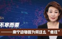 不寒而栗！广西南宁动物园为何这么“疯狂”？背后原因让人心酸