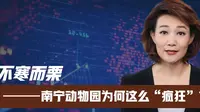 不寒而栗！广西南宁动物园为何这么“疯狂”？背后原因让人心酸