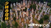 郑州登封嵩山少林寺塔林——千年禅影砌成的时光碑林