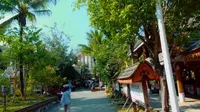 up的《西双版纳曼贺纳自由村寨》之旅