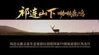 「4K60P」祁连山鹿文化生态旅游区