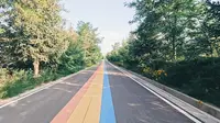 云游金鸡坪梯田公园