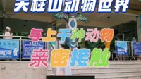 福建天柱山动物世界值得打卡吗？