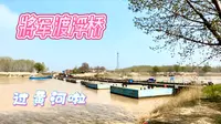 将军渡浮桥过黄河