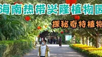 海南兴隆热带植物园，探秘奇特植物