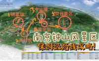 亲身实践总结经验!南京钟山风景区路线攻略!!-不坐观光车2万步逛完联票景区-阳康后一起去爬山吧!