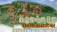 亲身实践总结经验!南京钟山风景区路线攻略!!-不坐观光车2万步逛完联票景区-阳康后一起去爬山吧!