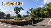 兴隆热带植物园（和三年前果然不太一样了）