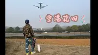 空港花田 没撒子意思的