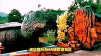 南平建阳（卧龙湾）武夷花花世界，花的盛宴等你来！