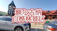 额尔古纳白桦林景区（第四站额尔古纳白桦林景区）#呼伦贝尔大草原#呼伦贝尔历史博物馆#胖子游山记#胖子户外