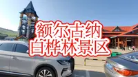 额尔古纳白桦林景区（第四站额尔古纳白桦林景区）#呼伦贝尔大草原#呼伦贝尔历史博物馆#胖子游山记#胖子户外