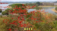 来宾市兴宾区蓬莱洲