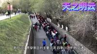 新疆--昌吉回族自治州江布拉克5A景区最全攻略