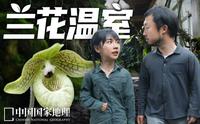 老温室被改成兰花天堂，昆明植物园是怎样做到的？