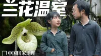 老温室被改成兰花天堂，昆明植物园是怎样做到的？