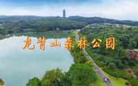 华东最大城中森林公园：龙背山森林公园