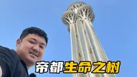 北京奥林匹克塔：登上“生命之树”，一览京城美景！
