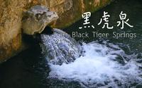 济南·黑虎泉