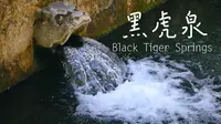 济南·黑虎泉