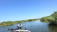 乌梁素海万亩湿地雷场，明年再去好好钓一次