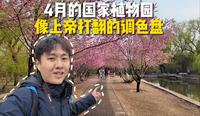 国家植物园春季游览攻略来了，专类园色彩缤纷美轮美奂，你去过几个？
