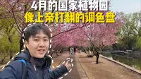 国家植物园春季游览攻略来了，专类园色彩缤纷美轮美奂，你去过几个？