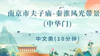 南京市夫子庙-秦淮风光带景区（中华门）-江苏省面试/口试 景点考试视频
