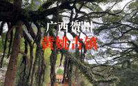 广西贺州“黄姚古镇”，雨中不一样的古镇