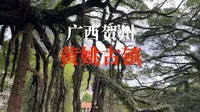 广西贺州“黄姚古镇”，雨中不一样的古镇