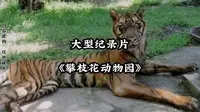 大型纪录片之《攀枝花动物园》