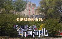 【云逛动物园系列】14.秦皇岛野生动物园