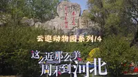 【云逛动物园系列】14.秦皇岛野生动物园