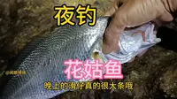 珠海淇澳岛远投夜钓滑鱼