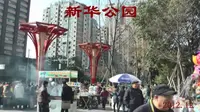 2012年 M 成都及郊区游-新华公园