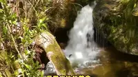贵州梅花山景区介绍