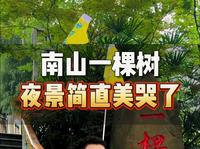 要问重庆哪里夜景好，南山一棵树景区不能少