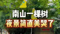 要问重庆哪里夜景好，南山一棵树景区不能少